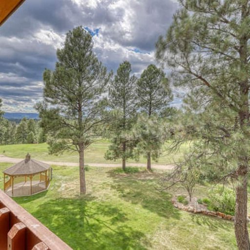 View From Patio