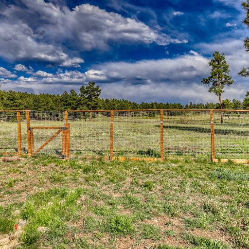 Fenced in Yard for your Pets